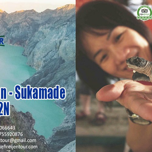 Bali Ijen Blue Fire Sukamade tour package 3D2N, Blue Fire Ijen Tour