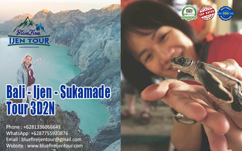 Bali Ijen Blue Fire Sukamade tour package 3D2N, Blue Fire Ijen Tour