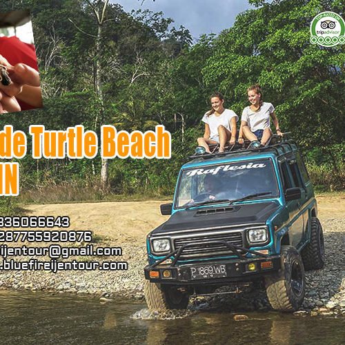 Sukamade turtle beach tour 2D1N, Sukamade Beach Tour
